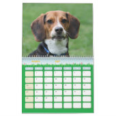 cover, Beagle Calendar Kalender (Mar 2027)
