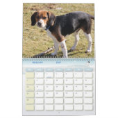 cover, Beagle Calendar Kalender (Feb 2027)