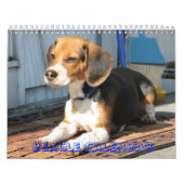 cover, Beagle Calendar Kalender (Hoes)