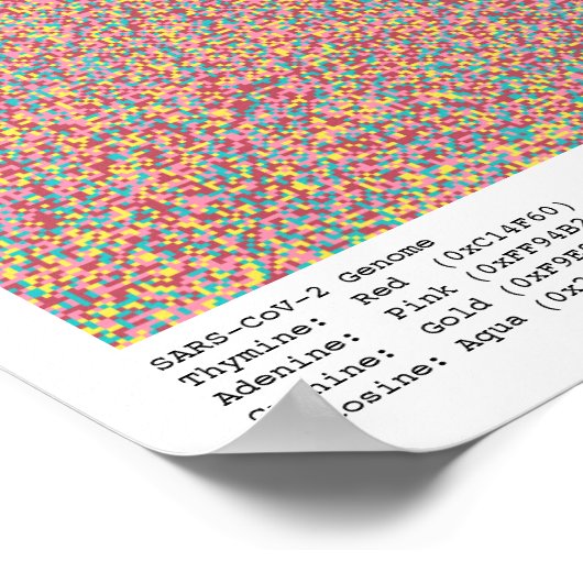COVID-19 Genoom Poster (Hoek)