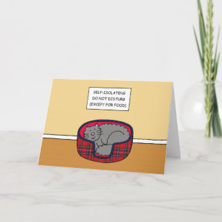 Covid 19 Slapen van Cat Cat-Cartoon met zelfisolat Kaart