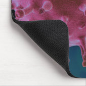 Covid Virus Biology Muismat (Hoek)