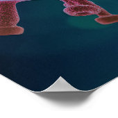 Covid Virus Biology Poster (Hoek)