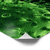 Covid Virus Pathogen Infectie Perfect Poster (Hoek)
