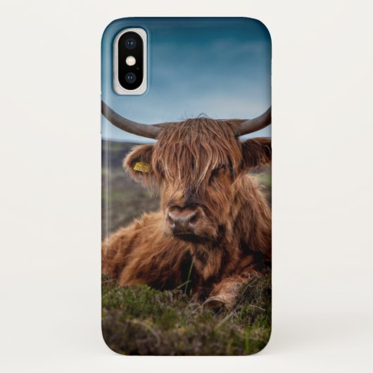 Cow Beef Scotland Highland iPhone Case (Achterkant)