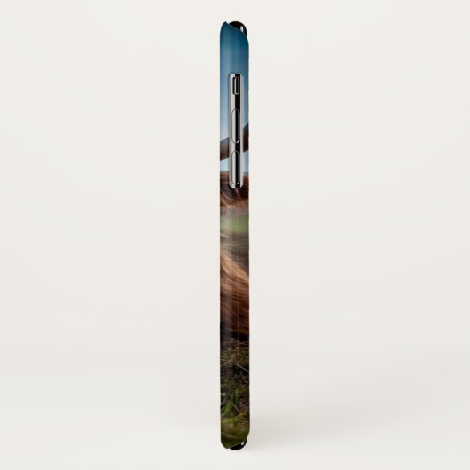 Cow Beef Scotland Highland iPhone Case (Achterkant/links)