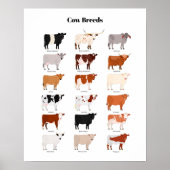cow breeds poster (Voorkant)