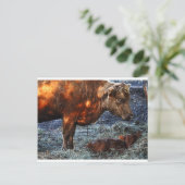 Cow & Calf - Postcard Briefkaart (Staand voorkant)