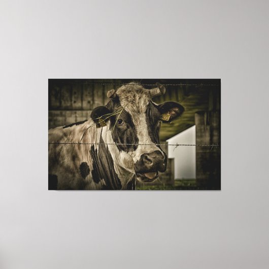 cow canvas afdruk (Voorkant)