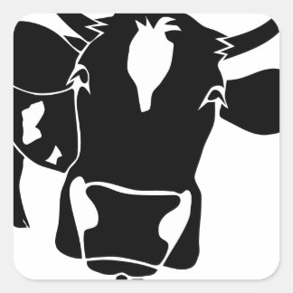 cow cattle kuh fleckvieh milk cowboy farmer vierkante sticker