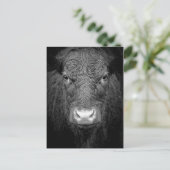 COW CLOSE-UP - BLACK & WHITE BRIEFKAART (Staand voorkant)