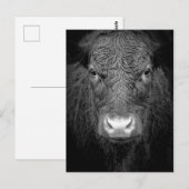 COW CLOSE-UP - BLACK & WHITE BRIEFKAART (Voorkant / Achterkant)