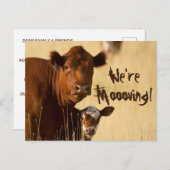 Cow Family Moving Aankondigingskaart (Voorkant / Achterkant)