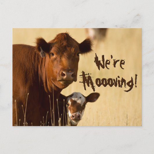 Cow Family Moving Aankondigingskaart (Voorkant)