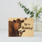 Cow Family Moving Aankondigingskaart (Staand voorkant)