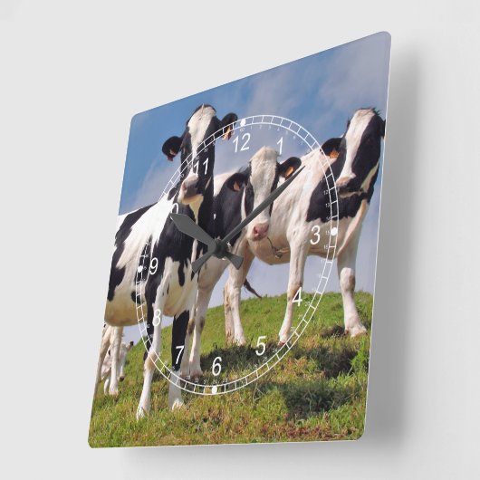 Cow Family Portrait Vierkante Klok (Hoek)