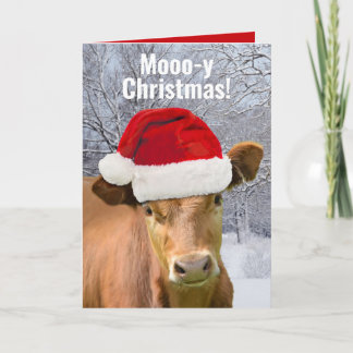 Cow in Santa Hat Mooo-y Christmas, Happy Moo Year Feestdagen Kaart