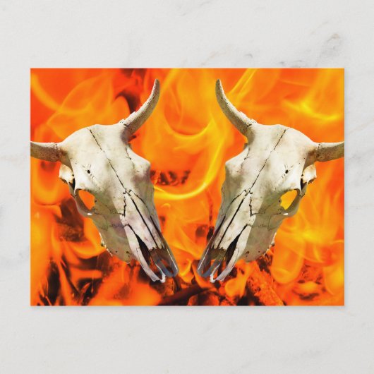Cow skull and fire briefkaart (Voorkant)