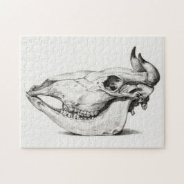 Cow skull by Jean Bernard Legpuzzel