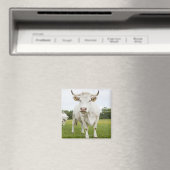Cow standing in grassfield magneet (Insitu (Vaatwasser))