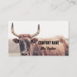  cow with horns country animal photograph  visitekaartje