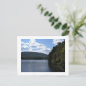 cowans gap state park pennsylvania meerbomen briefkaart (Staand voorkant)