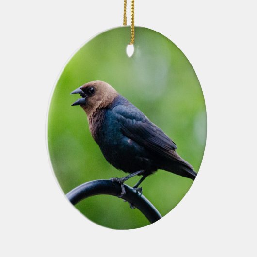 Cowbird Calling Keramisch Ornament (Rechts)