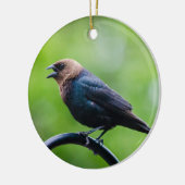 Cowbird Calling Keramisch Ornament (Links)