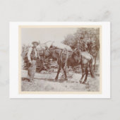  Cowboy 1900 Briefkaart (Voorkant)