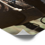 Cowboy 2 poster (Hoek)