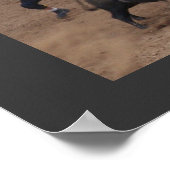 Cowboy 911 poster (Hoek)