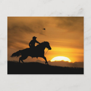 Cowboy and Horse Racing the Sundown Briefkaart