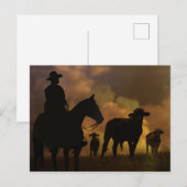 Cowboy and Steers Dusty Sunset Country Western Briefkaart (Voorkant / Achterkant)