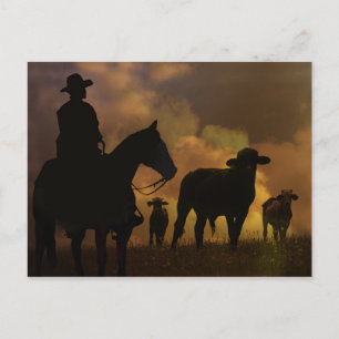 Cowboy and Steers Dusty Sunset Country Western Briefkaart