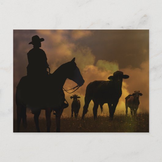 Cowboy and Steers Dusty Sunset Country Western Briefkaart (Voorkant)