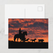 Cowboy and Wild Horses Roundup Briefkaart (Voorkant / Achterkant)