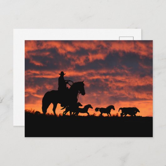 Cowboy and Wild Horses Roundup Briefkaart (Voorkant / Achterkant)