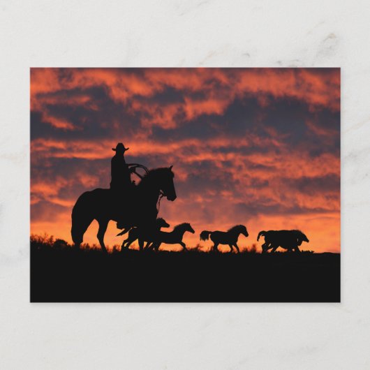 Cowboy and Wild Horses Roundup Briefkaart (Voorkant)