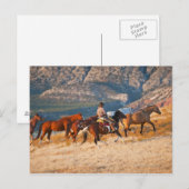 Cowboy-bedekking van wilde paarden 2 briefkaart (Voorkant / Achterkant)
