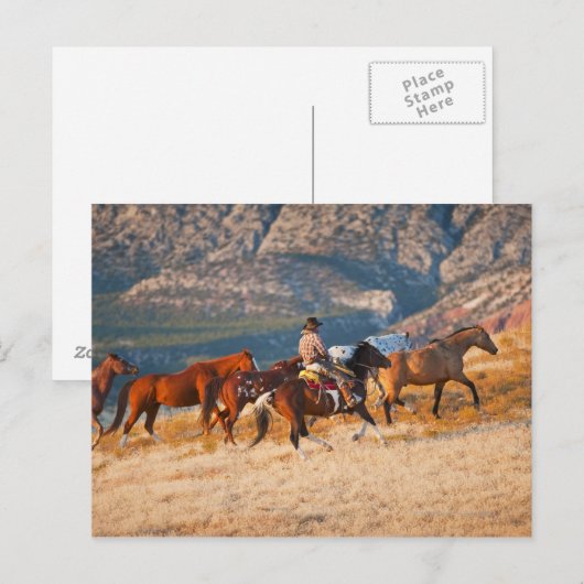 Cowboy-bedekking van wilde paarden 2 briefkaart (Voorkant / Achterkant)