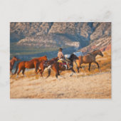Cowboy-bedekking van wilde paarden 2 briefkaart (Voorkant)
