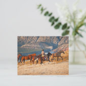 Cowboy-bedekking van wilde paarden 2 briefkaart (Staand voorkant)