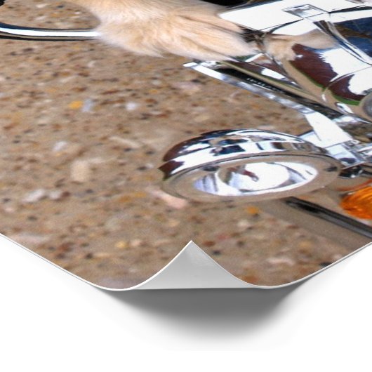 Cowboy Biker Dog Poster (Hoek)