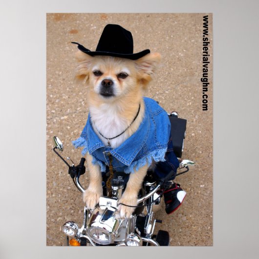 Cowboy Biker Dog Poster (Voorkant)