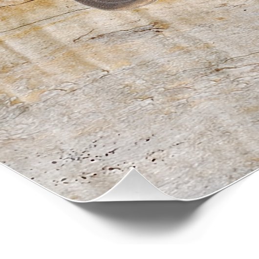 Cowboy Boots en Pet Perfect Poster (Hoek)