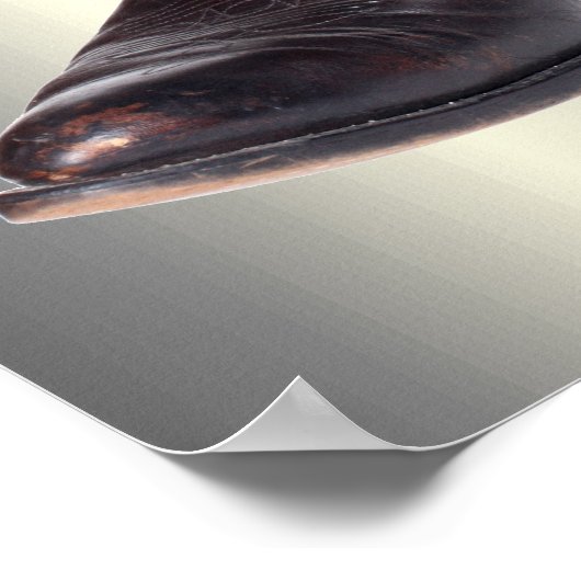 Cowboy Boots en Pet Poster (Hoek)