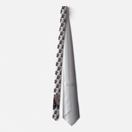 Cowboy Boots en Pet Stropdas (Achterkant)