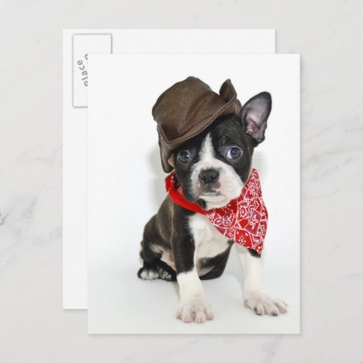 Cowboy Boston Briefkaart (Voorkant / Achterkant)