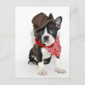 Cowboy Boston Briefkaart (Voorkant)