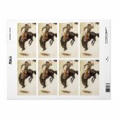  Cowboy, Bronco Buster-onderzoek door NC Wyeth Etiket (Full Sheet)